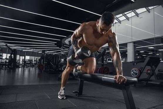 SARMs pour les professionnels : schémas optimaux